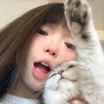 圣徒指南