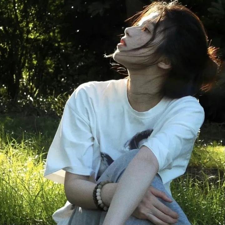 大象与小蝶物语